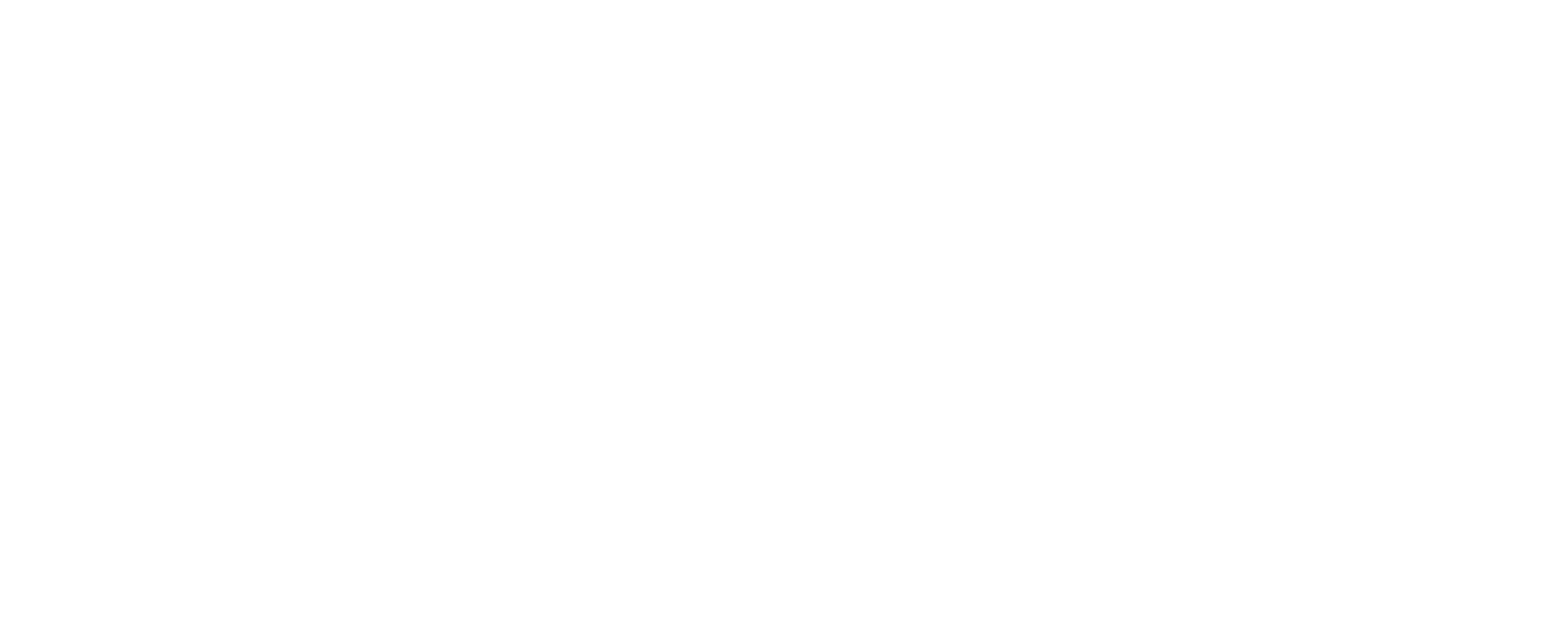 Logo for Norske Tog